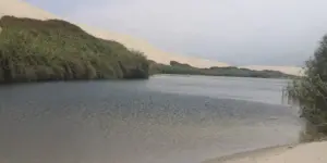 Oasis de Costa Rica en buggies + Sandboarding