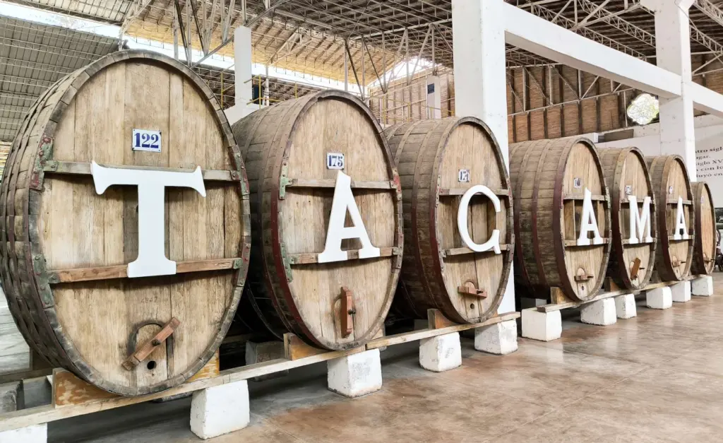 Tour Bodegas de Vino
