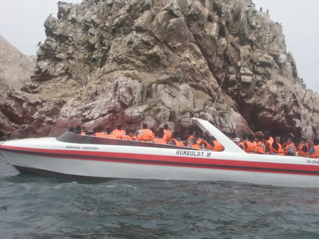 Paseo en lancha por el entorno de las Islas Ballestas en Paracas