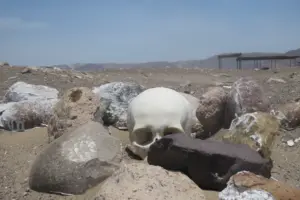Cementerio de Chauchilla en Nasca: momias, historia y visita