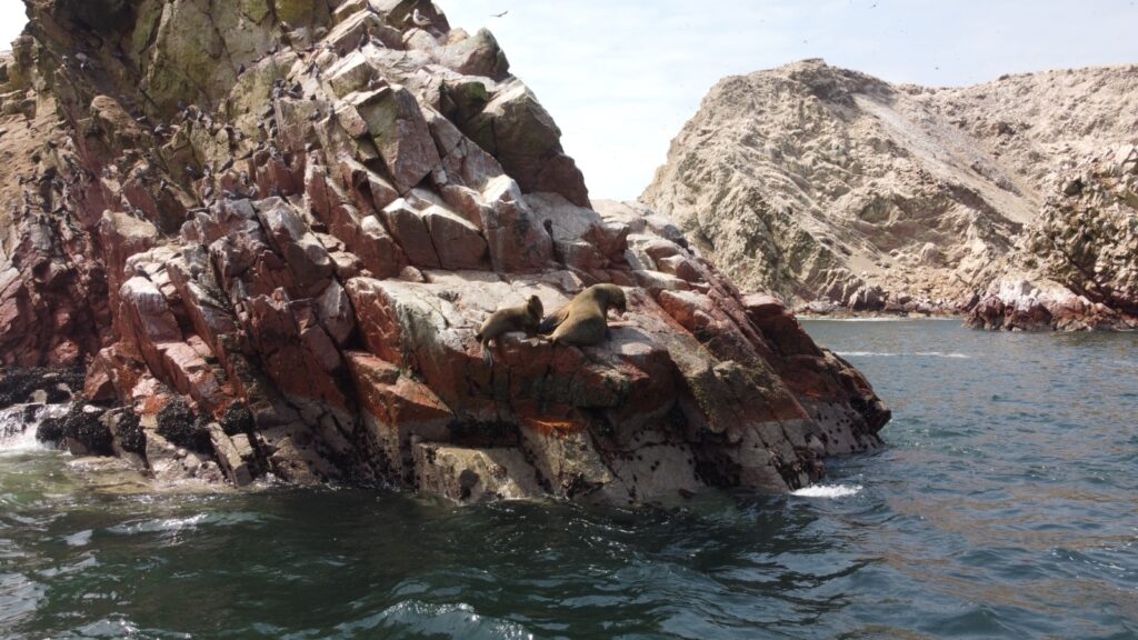 Full Day Ballestas + Lineas de Nasca desde Lima.