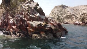 Full Day Ballestas + Lineas de Nasca desde Lima.